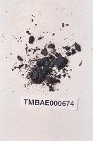 藏品(臺灣小金髮苔)的圖片